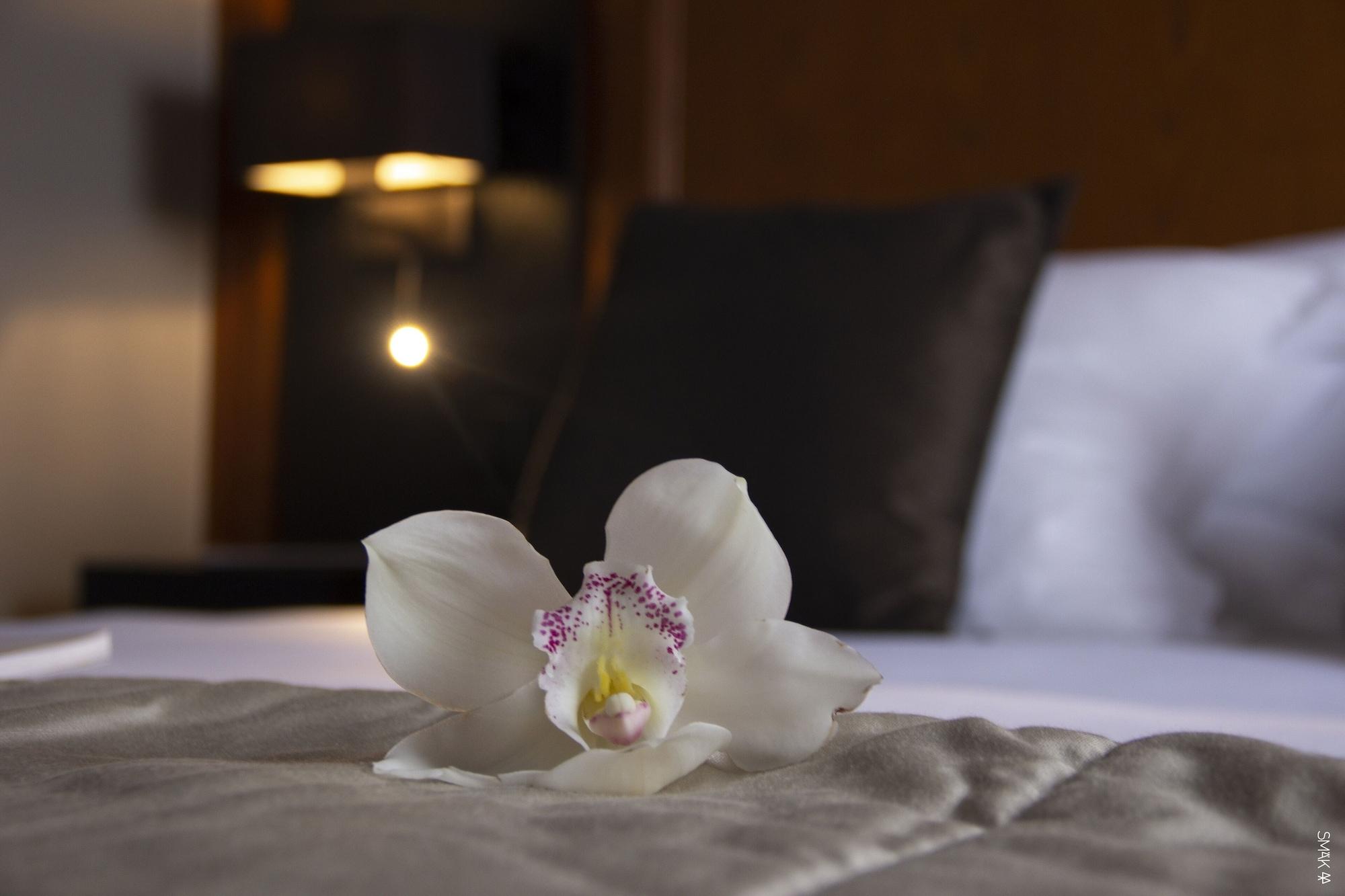 Hotel L'Europe Horbourg-Wihr Luaran gambar